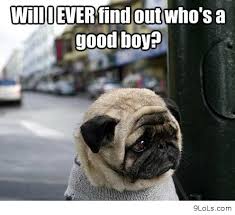Pin On Animal Photos