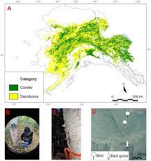 Deciduous Forest Location Map A Map Of The Area Covered By Deciduous And Coniferous Vegetation... |  Download Scientific Diagram