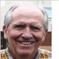 David Lee Lovejoy Obituary