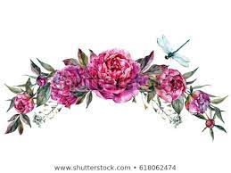 Watercolor Floral Decoration Made Of Fuchsia Peonies Buds Foliage And Dragonfly Botanical Illustration In Vin Floral Illustrations Floral Watercolor Peonies