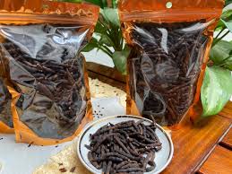 Image result for Xylopia aethiopica