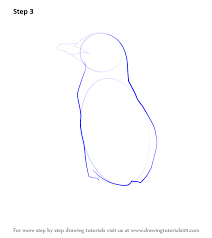 For me, penguin means a cute, black & white walking bird. Learn How To Draw A Little Blue Penguin Antarctic Animals Step By Step Drawing Tutorials