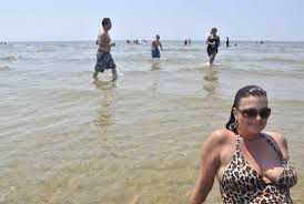 Maybe you would like to learn more about one of these? Rocky Neck State Park Closed To Swimmers Hartford Courant
