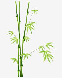 cartoon hand drawn bamboo vector bamboo clipart cartoon hand drawn bamboo vector illustration hand drawn cartoon bamboo vector illustration png and vector wi how to draw hands watercolor flower background flower