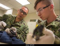 Gunner's Mate 2nd Class Raymond Oliveros sands corrosion off a vertical  launching system aboard the Arleigh Burke-class guided Stock Photo