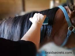 How to instructions for different braiding techniques. Expert Tips On How To Create The 3 Easiest Mane Braids