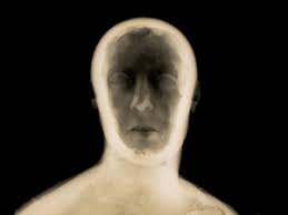 memory — Field Notes — Jane Alden Stevens