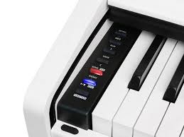 Honestly, not recommended for the beginner. Dp260 Wh Medeli