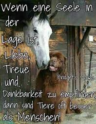 Wie Wahr Und Suss Ist Es Auch Bei Den Tieren Spruche Tierliebe Spruche Tiere Lebensweisheiten Spruche