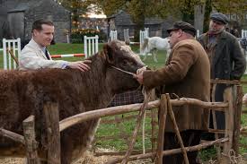 The tv series all creatures great and small is a remake of the beloved book series by james herriot, premiering on thirteen on january 10, 2021 (see entire schedule).the heartwarming tales of a. All Creatures Great And Small Review Pbs Masterpiece Drama Is Lovely Indiewire