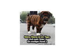 Coole profilbilder für whatsapp easy zum download? Profilbild Ideen Profilbilder Ideen Fur Xing Und Co Achtet Auf Mimische Details