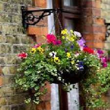 Check spelling or type a new query. Decorating With Container Gardens Enjoy Container Gardening