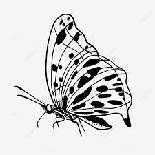 We did not find results for: Gambar Vitality Serangga Rama Rama Spot Spot Butterfly Clipart Hitam Dan Putih Khemah Corak Dot Png Dan Psd Untuk Muat Turun Percuma