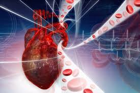 Mean Arterial Pressure Formula Sistema Circulatorio Niveis De Colesterol Circulacao Sanguinea