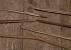 Broken Bow Violin