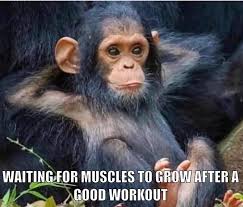 images?q=tbn:ANd9GcTY-leowa78I51i8x1nP_E