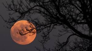 Moon not being colored red during a bloodmoon with astral sorcery installed. Super Blood Moon What Is It And How Can You See It Cbbc Newsround