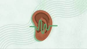 Image result for Tinnitus