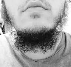 If a man never shaves his beard it can grow up to 30 feet long. Do Trans Men Have Beards Quora