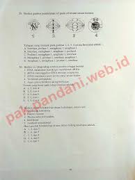 Un matematika sma tahun 2019 sudah tinggal menghitung jam lagi. Update Kumpulan Soal Un Biologi Sma Dan Pembahasannya Pdf Paling Seru