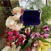 Check spelling or type a new query. Top 948 Avas Flowers Reviews Page 10