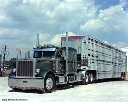 Custom Cattle Hauling Trucks Craig S Peterbilt Livestock Hauler Peterbilt Trucks Trucks Big Rig Trucks