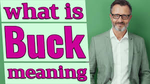 Noun the male of the deer, antelope, rabbit, hare, sheep, or goat. Buck Meaning Of Buck Youtube