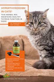 Pin On Natural Pet Products