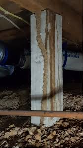 Friday 17 january 2020 10:30 am. Commercial Pest Control Melbourne Latrobe Valley Gippsland East Gippsland Rip Termite Pest Control Services