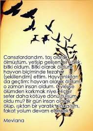 tasavvuf olum korku yasam mevlana kelebek etkisi dusunceler edebiyat