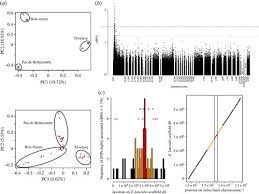 A Novel Locus On Chromosome 1 Underlies The Evolution Of A