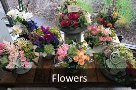 Dé service provider voor de verpakkingsindustrie. Home Veldkamp S Decor And Gifts Books Candles