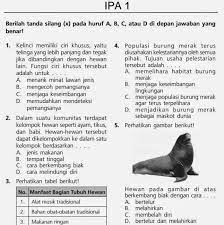 Soal un ipa sd pdf. Download Soal Ujian Nasional Sd 2017