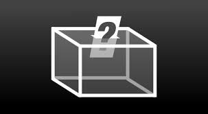 Resultado de imagen de fotos de unas y votantes, diario sur