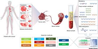 Maybe you would like to learn more about one of these? Diagnostic Power Of Dna Methylation Classifiers For Early Detection Of Cancer Trends In Cancer