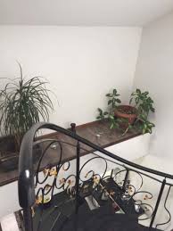 Inchiriere apartamente in baia mare. Apartament 3 Camere De Inchiriat Baia Mare Str Victoriei Mobitim Agentie Imobiliara Cluj