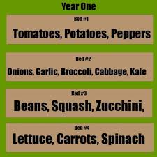 A Simple 4 Year Crop Rotation Plan Our Stoney Acres