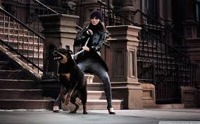 Gary unwin, more commonly known as eggsy, is the main protagonist in the 2014 film kingsman: Angry Rottweiler Wallpapers Top Free Angry Rottweiler Backgrounds Wallpaperaccess