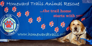 We rescue as many cats as we can through the help of volunteer foster homes and community support. About Homeward Trails Animal Rescue Pet Adoption In Va Dc Md