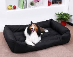 Get your fur kids the dog calming bed™ and let them rediscover a good night's sleep! Elevated Dog Bed Amazon Uk