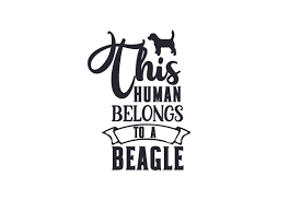 Download This Human Belongs To A Beagle Svg Cut Files Download Best Free 15783 Svg Cut Files For Cricut Silhouette And More SVG Cut Files