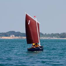 Résultat de recherche d'images pour "cat boat"