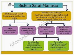 Cahaya dan optik 8.1 penggunaan cermin 8.2 ciri cahaya 8.3 pantulan cahaya 8.4. Bermacam Nota Sains Tingkatan 4 Yang Penting Untuk Murid Download Pendidikan Abad Ke 21
