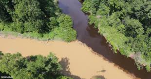 We did not find results for: Rivers Lakes Streams And Swamps In The Rainforest
