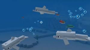 What Do Dolphins Eat? | Minecraft Amino