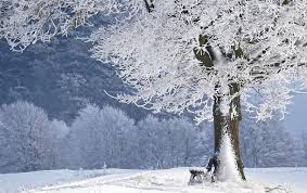 Что делать в день чудес. 5g8u0zy Js1wtm