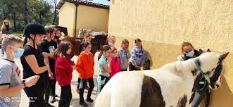 Maybe you would like to learn more about one of these? Club Hippique De Grasse Accueil Facebook