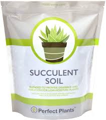 Choose wisely and they will look awesome with your cactus plants. Amazon Com All Natural Succulent And Cactus Soil Mix By Perfect Plants Made In The Usa 4 Quarts For All Succulent Varieties Formulated For Proper Drainage Garden Outdoor
