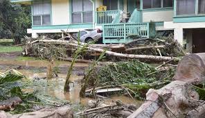 Image result for kerla flood