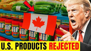 The transition of KAUST to remote teaching, challenges & future outlook of  virtual learning